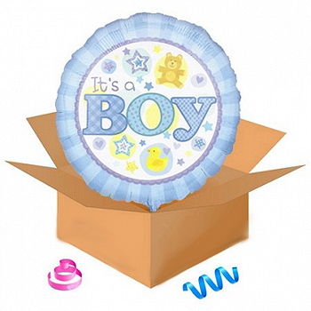 Newcastle upon Tyne flowers  -  Snips Snails and Puppy Dog Tails Balloon Delivery
