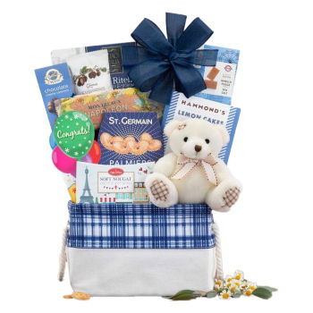 Jamaica, United States flowers  -  Cuddly Congratulations Gift Basket Baskets Delivery
