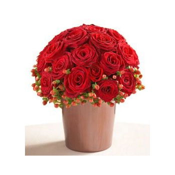 Turkmenistan flowers  -  Contemporary Rose Arrangement Flower Delivery