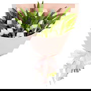 Lithuania online Florist - Flowers of Condolence Bouquet