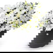 부구루슬란 온라인 꽃집 - 화이트 포레스트 부케 부케