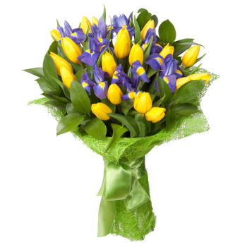 Turkmenistan flowers  -  Royal Tulip Flower Delivery