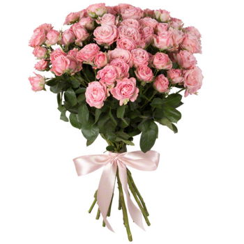 Moldova flowers  -  Pink Rose Bouquet Flower Delivery