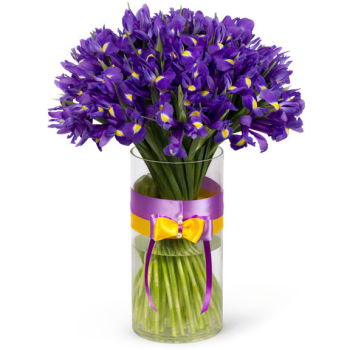 Moldova flowers  -  Grand Iris Arrangement Flower Delivery