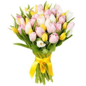 Turkmenistan flowers  -  Elegant Tulip Bouquet Flower Delivery