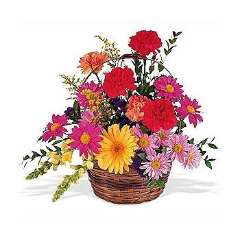 Yehud-Monosson, Israel Online Florist - Sentimental Splendor Basket Bukett