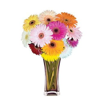 Yehud-Monosson, Israel Online Florist - Gerbera Grandeur Bukett Bukett