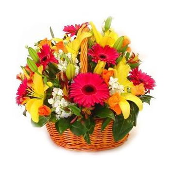 Yehud-Monosson, Israel Online Florist - Joy of Summer Basket Bukett