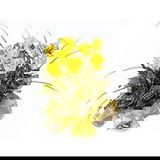 כפר קאסם חנות פרחים באינטרנט - זר אהבה נצחי זר פרחים