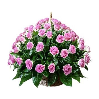 Yehud-Monosson, Israel Online Florist - Roses Forever Basket Bukett