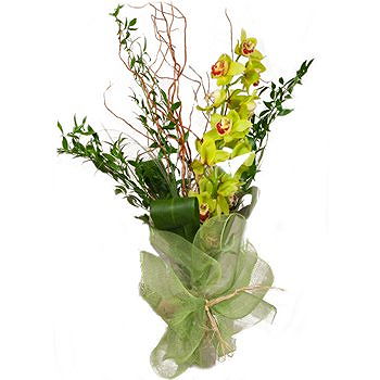 Caicara de Maturin flowers  -  Orchid Tower Display Flower Delivery