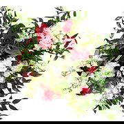 Kallang Way online Florist - Love and Light Bouquet Bouquet