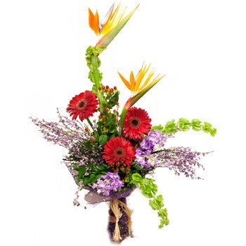 Paraguay flowers  -  Paradise and Daisies Bouquet Flower Delivery