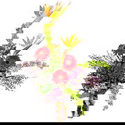 Swallow online Florist - Paradise and Daisies Bouquet Bouquet