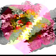 צ'יולה חנות פרחים באינטרנט - Sunny Days Roses זר פרחים
