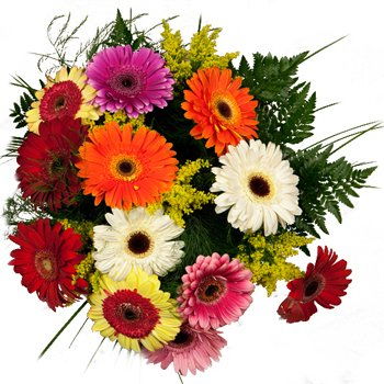 Tanzania flowers  -  Gerbera Explosion Bouquet Flower Delivery