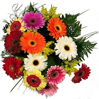 Caicara de Maturin flowers  -  Gerbera Explosion Bouquet Flower Delivery