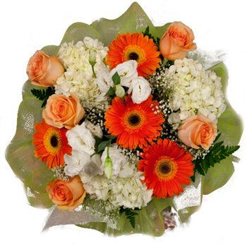 Paraguay flowers  -  Sun and Snow Bouquet Flower Delivery
