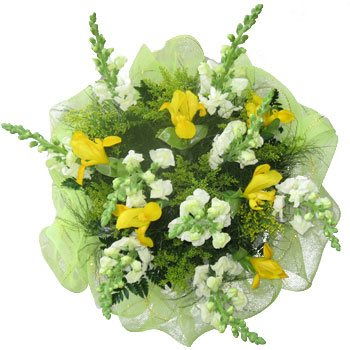Dominica flowers  -  Sunny Spring Bouquet Flower Delivery