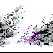Casablanca Online kukkakauppias - Sano Anything Bouquet Kimppu