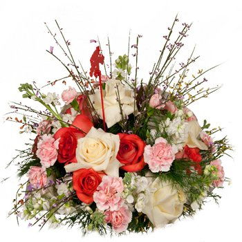 Botswana flowers  -  Friendship Love and Beauty Display Flower Delivery