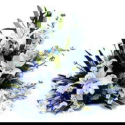 United Kingdom online Florist - Tender is the Night Floral Display Bouquet