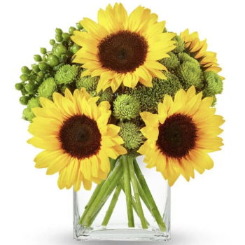 Jamaica, United States flowers  -  A Touch Of Sunshine Baskets Delivery