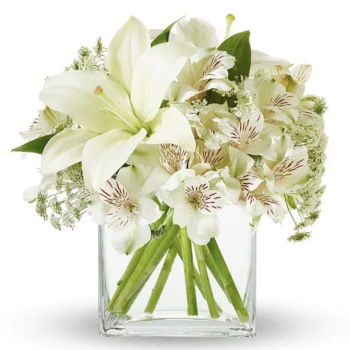 USA, United States flowers  -  White Elegance Baskets Delivery