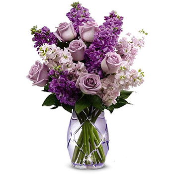 USA, United States flowers  -  Lavender Haze Baskets Delivery