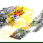 Osh online Florist - Spring Sparks with Chocolates Bouquet