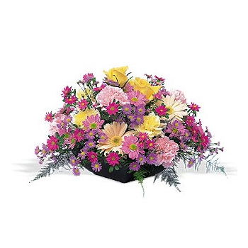 Μπέργκεν λουλούδια- Καλάθι λουλουδιών φυσικής ομορφιάς