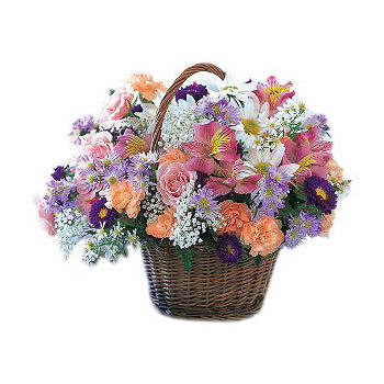 flores de Alummot- Cesta de flores extravagantes em flor Flor Entrega