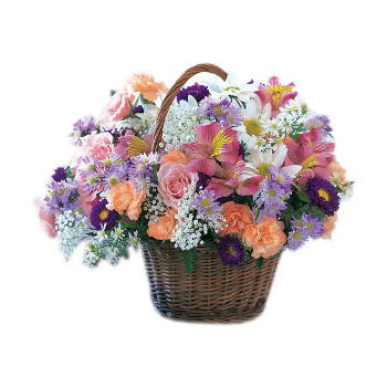 Μπέργκεν λουλούδια- Ανθισμένο καλάθι λουλουδιών Extravaganza