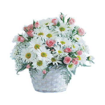 flores de Alummot- Cesta de flores de flores puras Flor Entrega