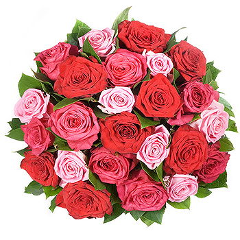 Newcastle upon Tyne flowers  -  Passion Burst Flower Delivery