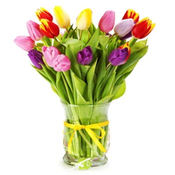 Moldova flowers  -  Mixed Tulips Flower Delivery