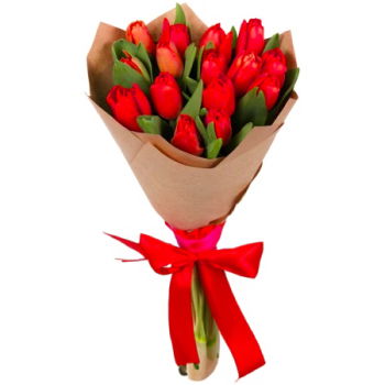 Turkmenistan flowers  -  Red Tulips Flower Delivery