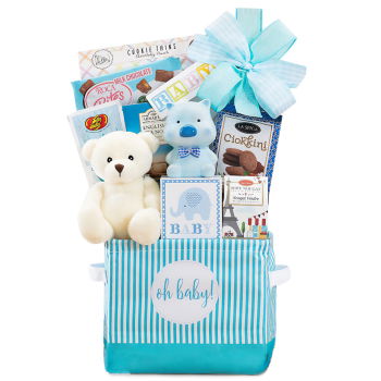USA, United States flowers  -  Baby Boy Blue Basket Baskets Delivery