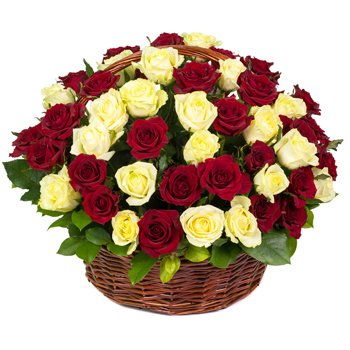 Turkmenistan flowers  -  My All Flower Delivery