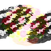 Vidzy Online Blumenhändler - Mein Alles Blumenstrauß