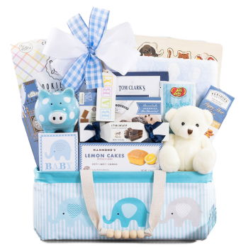 Jamaica, United States flowers  -  Celebrate New Life Gift Basket (Boy) Baskets Delivery