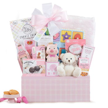Jamaica, United States flowers  -  Celebrate New Life Gift Basket (Girl) Baskets Delivery