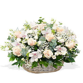 Turkmenistan flowers  -  White Beauty Flower Delivery