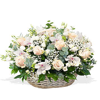 Gedziai flowers  -  White Beauty Flower Delivery