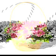 Kremencuckyj rajon online Florist - Pink Charm Bouquet