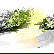 Vidzy Online Blumenhändler - Wunderschöne Grüns Blumenstrauß