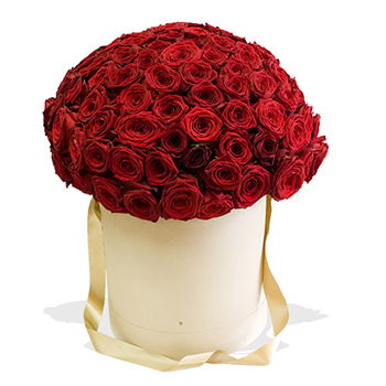 Turkmenistan flowers  -  Red Riveting Roses Flower Delivery