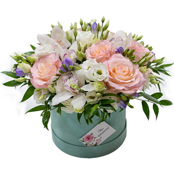 Turkmenistan flowers  -  Potted Display Flower Delivery
