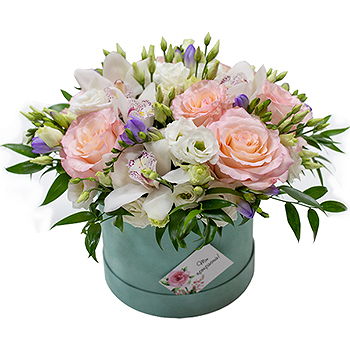Gedziai flowers  -  Potted Display Flower Delivery