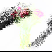 Kim online virágüzlet - Rose Classic Csokor